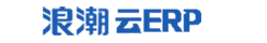 ʱ ERP